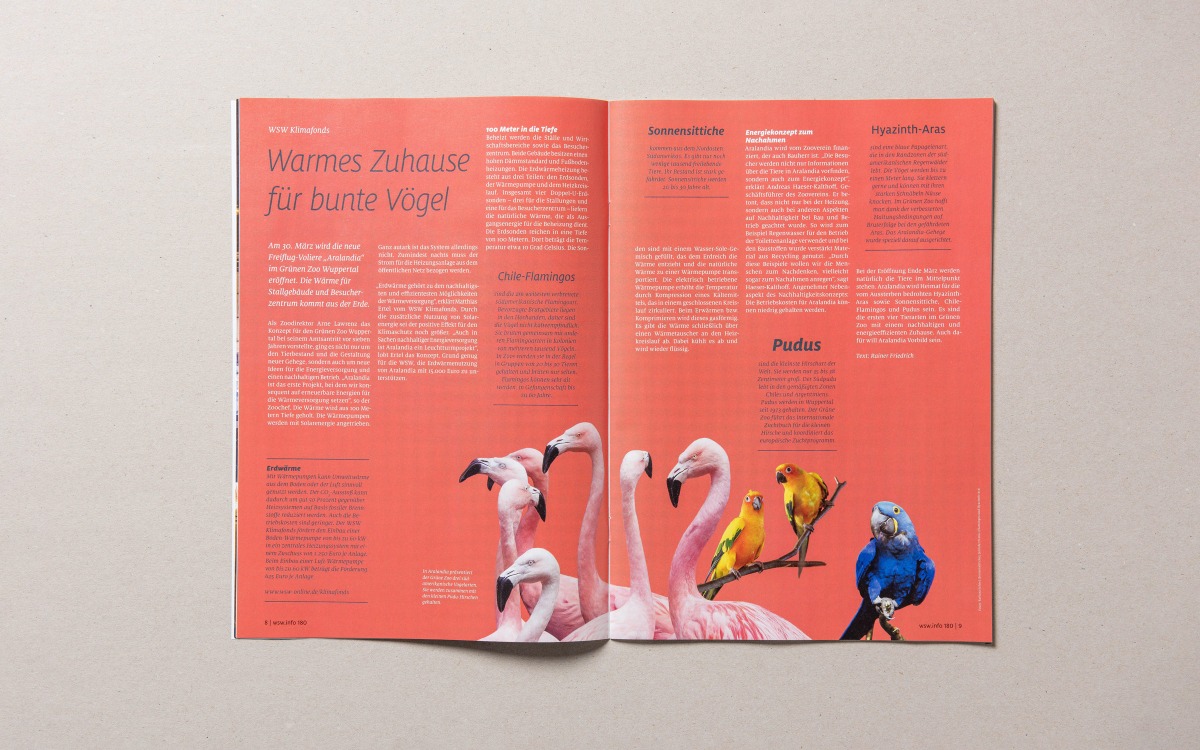 WSW-Magazin wsw.info Doppelseite